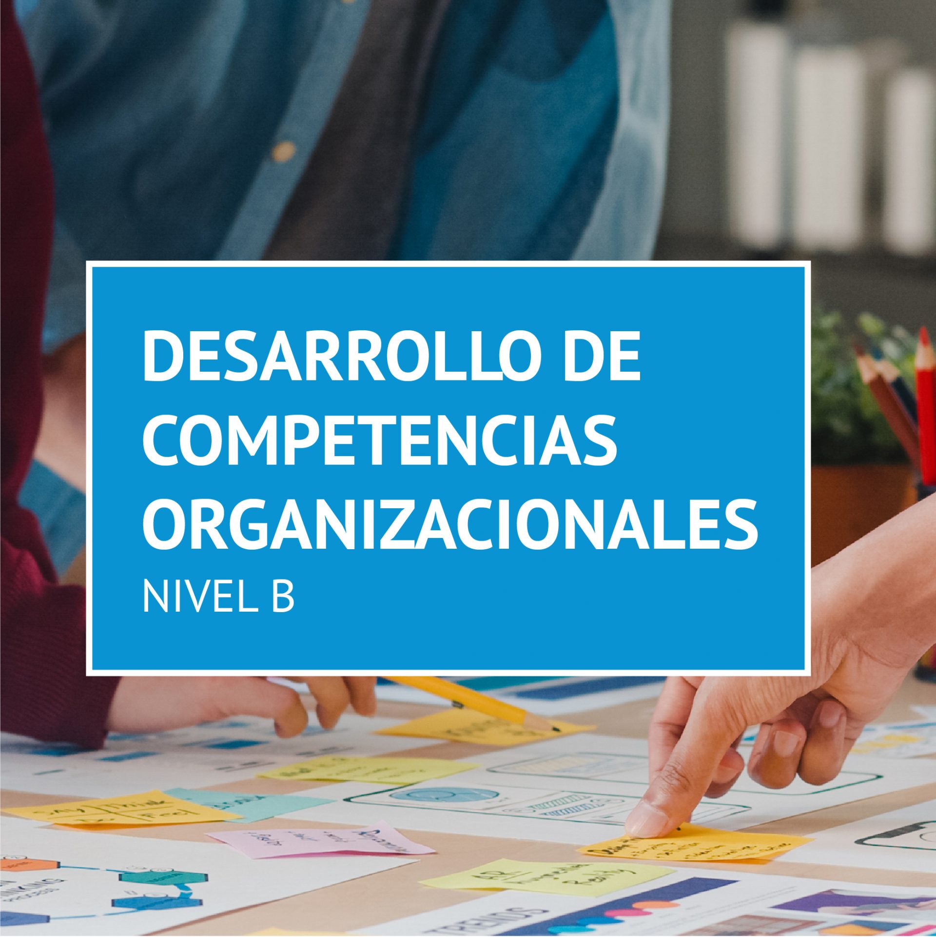 DESARROLLO DE COMPETENCIAS ORGANIZACIONALES (NIVEL B) | IDE